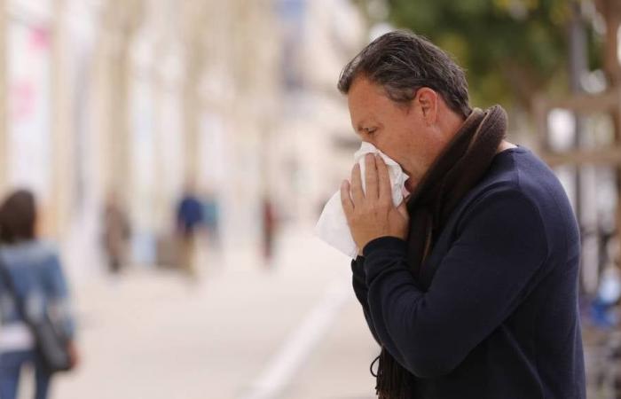 L’epidemia di bronchiolite cresce, l’epidemia di influenza si diffonde in nuove regioni della Francia