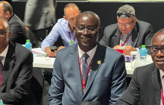 Successione di Aliou Cissé: Me Senghor licenzia Habib Bèye e Omar Daf