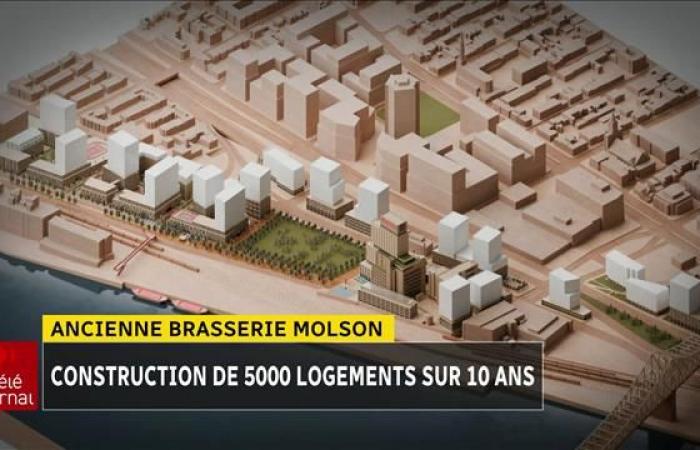 Un nuovo quartiere sarà costruito sull’ex sito del birrificio Molson