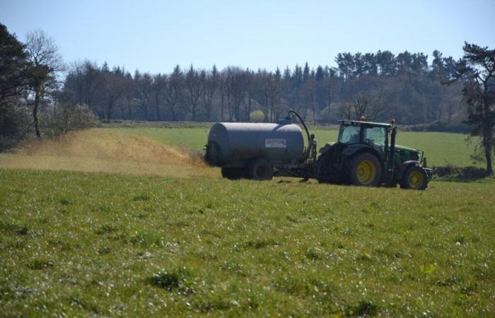 se compro in campagna devo accettare il canto del gallo e il fango sulle strade