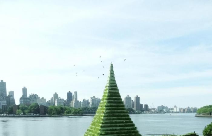 Desert X svela la nuova scultura di Agnes Denes per la mostra del 2025 a Sunnylands