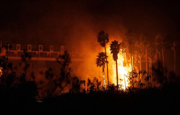 California: Malibu avvolta dalle fiamme, migliaia di persone evacuate