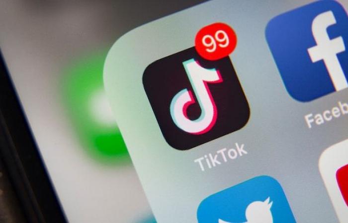 TikTok contesta l’ordine di cessare le operazioni in Canada