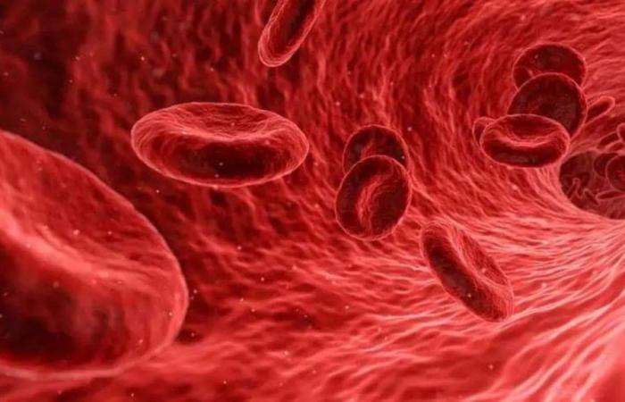 Questi impianti a base di sangue potrebbero presto guarire ferite e fratture