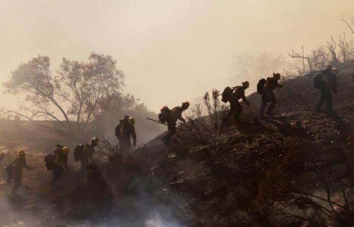 Dick Van Dyke, Cher, Mira Sorvino… Le star lasciano Malibu dopo l’incendio che devasta la città