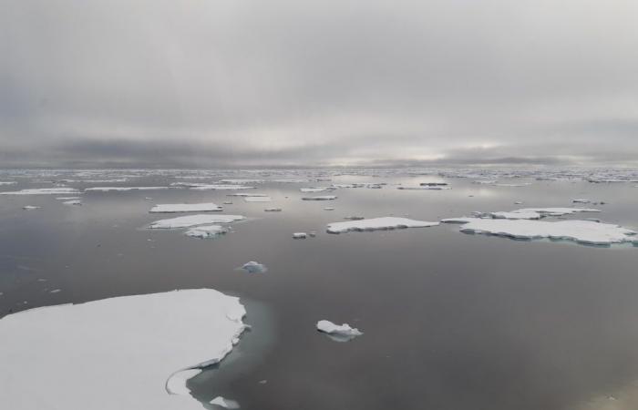 Ricerca per lo sviluppo di sensori dedicati alla navigazione e alla mappatura delle aree ghiacciate