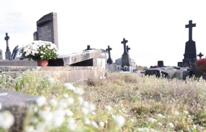 Cimitero, animali randagi… Diversi prezzi sono aumentati del 3% dal 1 gennaio 2025 a Mayenne