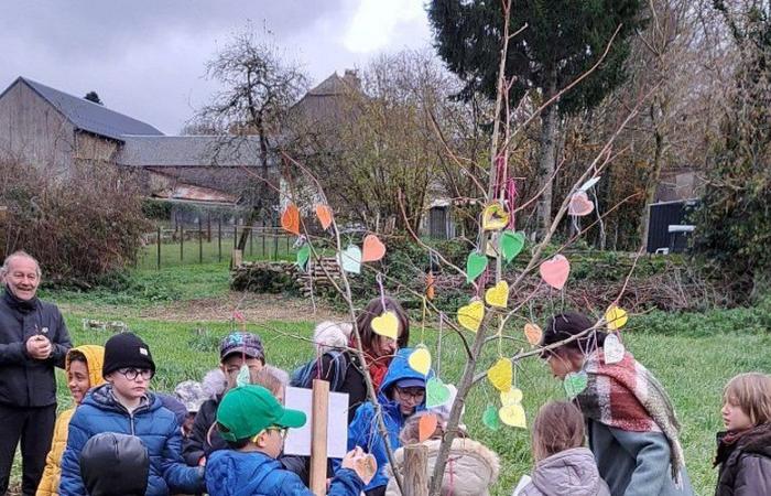 Questi scolari dell'Aveyron piantano un tiglio in memoria di Clémence, la loro amica morta all'età di 7 anni lo scorso maggio