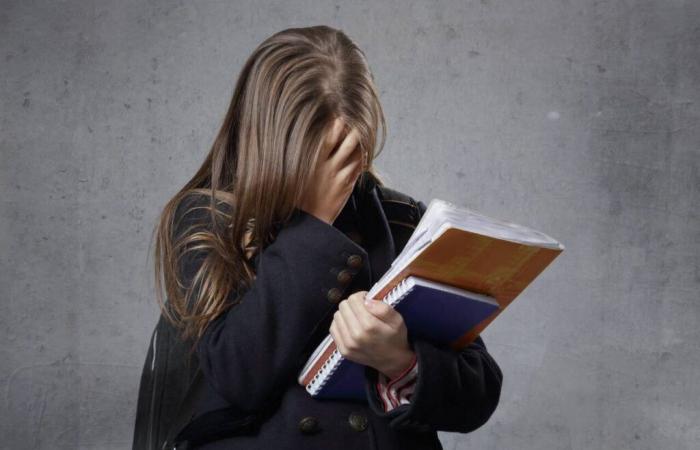 Quello che sappiamo degli insulti e delle minacce contro gli insegnanti di un liceo del Morbihan