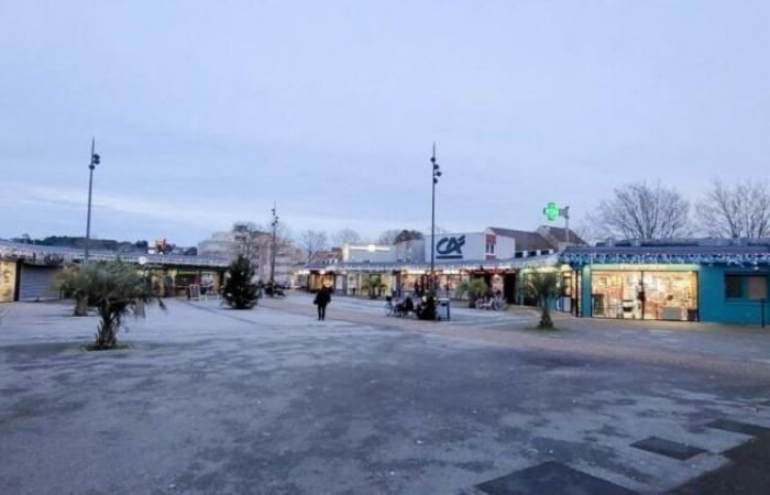 Questi commercianti di Cherbourg-en-Cotentin organizzano un grande gioco per Natale