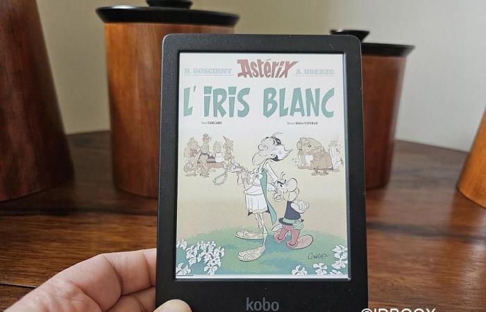 Questo e-reader a colori Kobo è a un prezzo basso per le vacanze, un buon affare