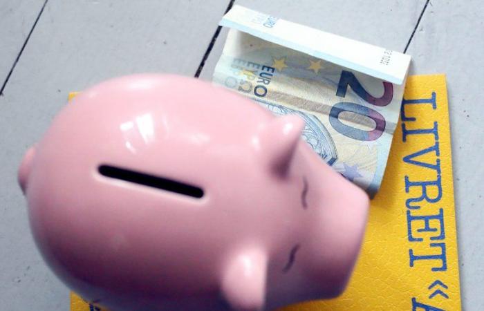 Livret A, LEP, PEL… scopri quanto ti frutteranno i tuoi conti di risparmio il 1° gennaio 2025