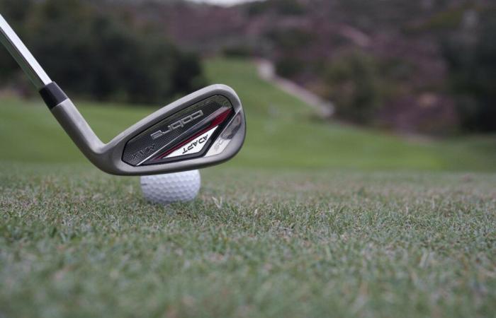 Cobra DS-ADAPT Irons – Il paradiso degli hacker