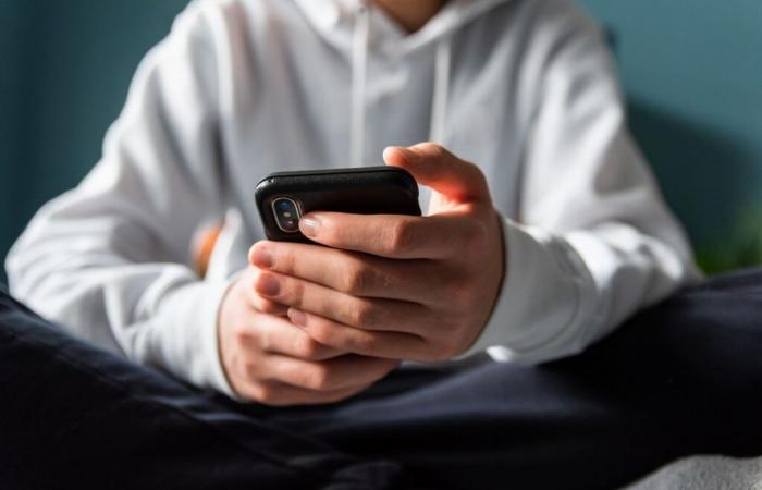 Genitori fanno causa dopo che il bot AI avrebbe suggerito agli adolescenti di ucciderli