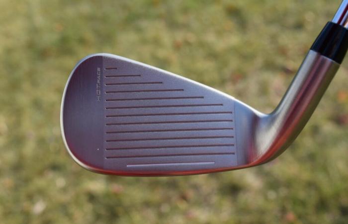 Cobra DS-ADAPT Irons – Il paradiso degli hacker