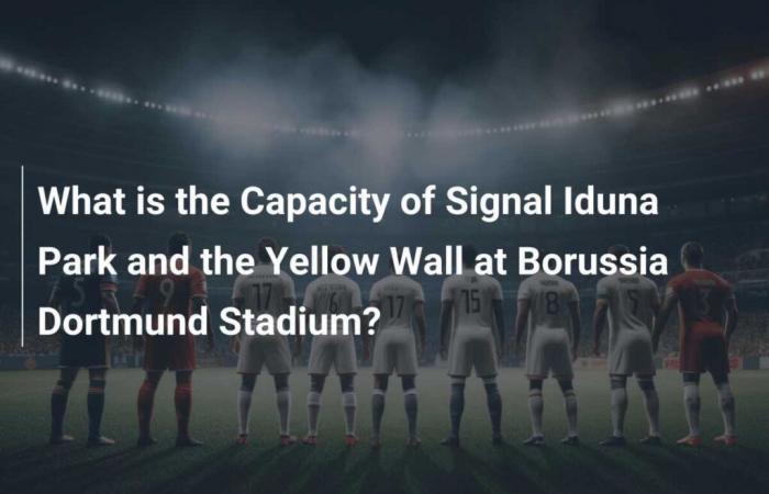 Qual è la capienza del Signal Iduna Park e del Muro Giallo nello stadio del Borussia Dortmund?