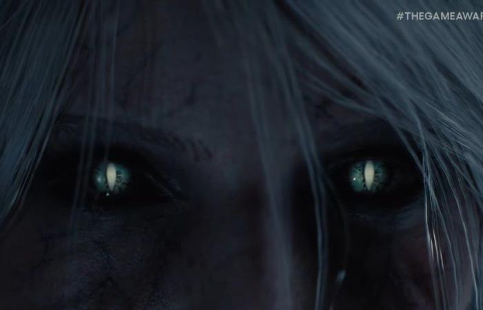 Il sequel di Witcher ha finalmente un nome e una nuova protagonista femminile