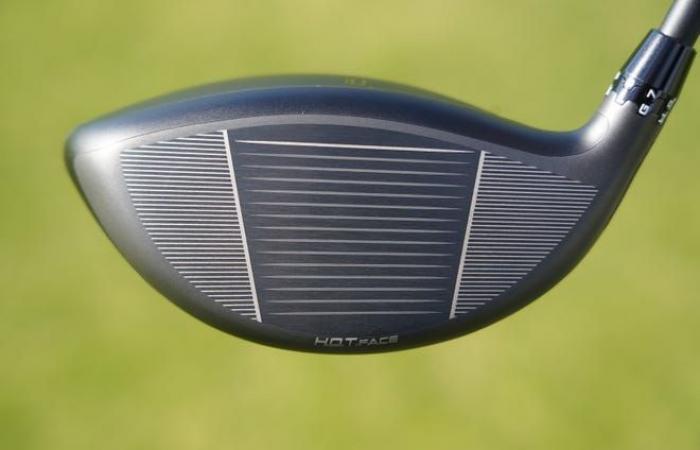 Driver Cobra DS-Adapt X, DS-Adapt LS, DS-Adapt Max-K, DS-Adapt Max-D