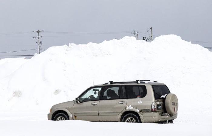 Avvisi meteorologici invernali per 12 Stati con 17 pollici di neve in caduta