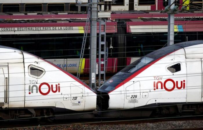 “I treni circoleranno a Natale”, assicura il dimissionario ministro dei Trasporti