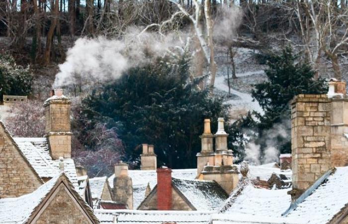 Gli alberi di Natale hanno bisogno di acqua?