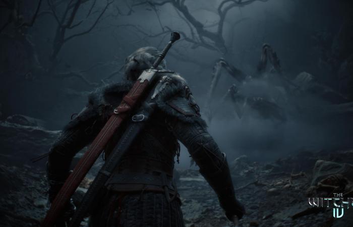 The Witcher 4: tutto quello che sappiamo finora