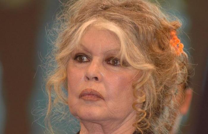 Brigitte Bardot senza televisione né internet dopo un guasto, si arrabbia: “Lo trovo scandaloso”