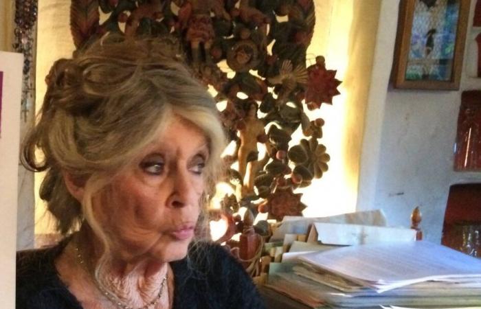 “Lo trovo scandaloso”: a causa di un grave guasto, Brigitte Bardot è tagliata fuori dal mondo a Saint-Tropez