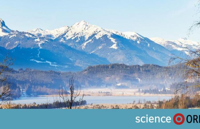 GeoSphere Austria: le possibilità di un bianco Natale stanno svanendo