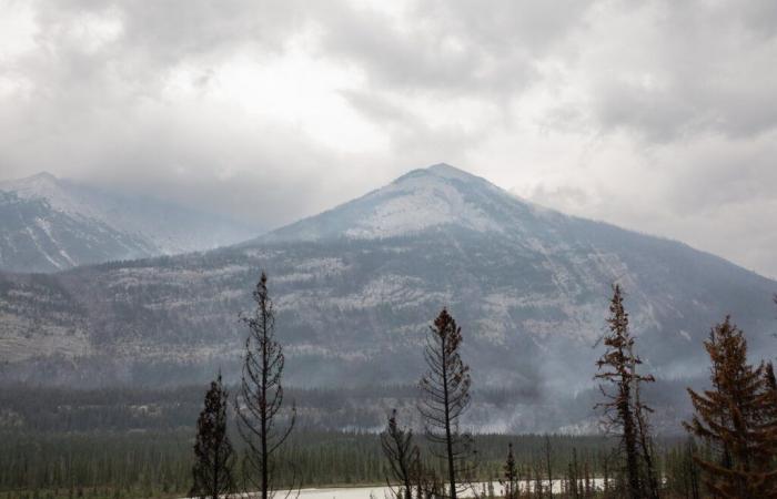 Incendi boschivi in ​​Canada legati ad un aumento delle visite mediche negli Stati Uniti