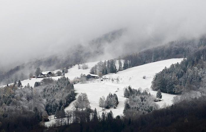 GeoSphere Austria: le possibilità di un bianco Natale stanno svanendo