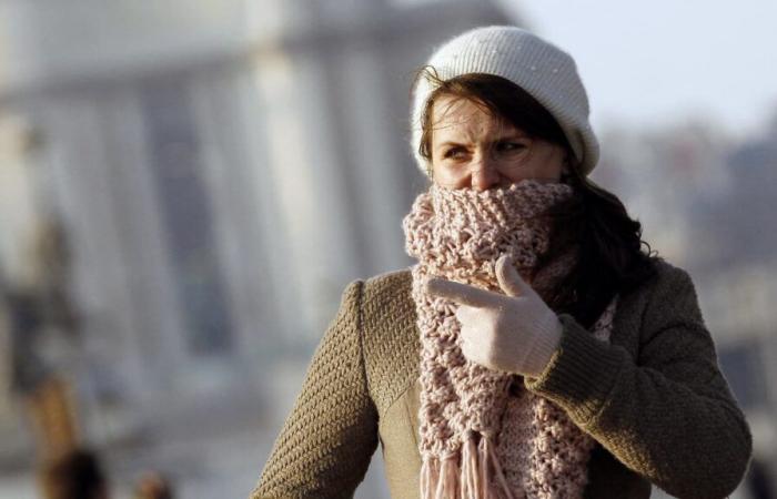 -3°C a Clermont-Ferrand, -2 a Nancy… Il freddo gelido colpisce la Francia questo venerdì