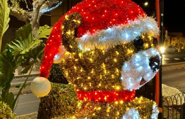 Vieni a fare la spesa al mercatino di Natale di Lunel