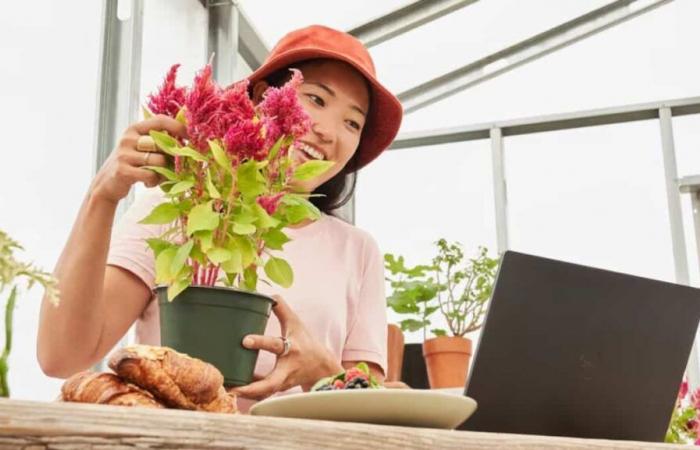 Ecco cinque cose importanti da fare con un nuovo computer