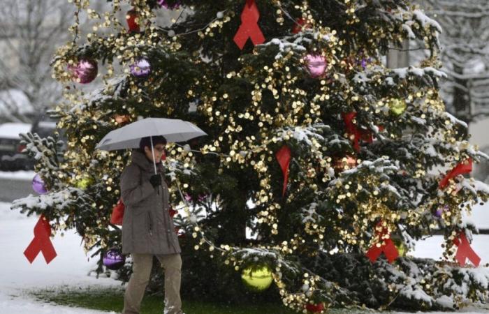 È più probabile che le tendenze dei servizi meteorologici portino a un Natale verde