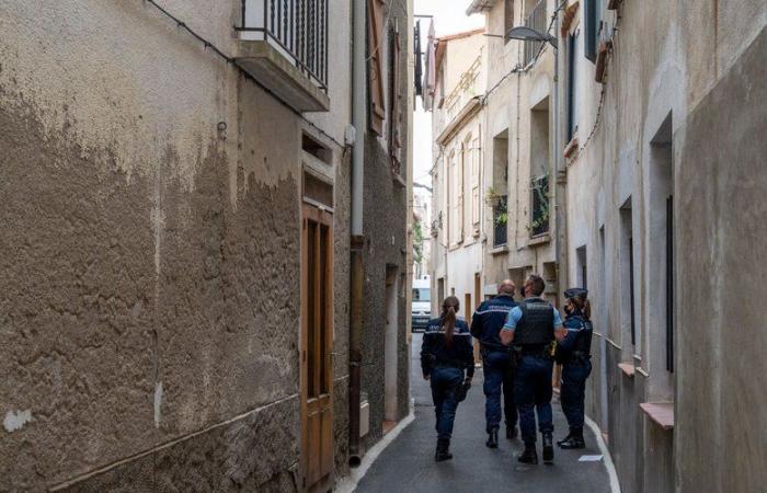 Processato a Perpignan per l’omicidio dell’uomo che lo ospitava: “Vieni presto”, l’agonia insopportabile della vittima al telefono