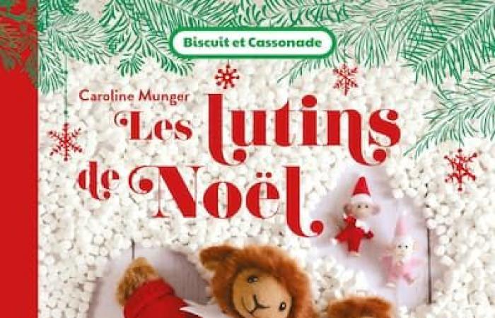 Ecco una selezione di libri di Natale che i giovani adoreranno!