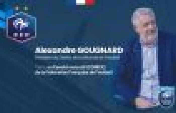 Comitato esecutivo elettorale della Federcalcio francese – DISTRETTO DELLA GIRONDE DE FOOTBALL