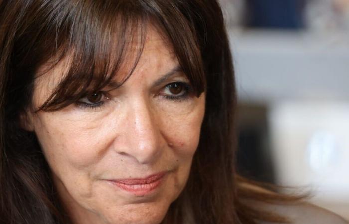 “Sapere dove vanno i soldi pubblici”: un’associazione rinvia la questione al Consiglio di Stato sulle note spese di Anne Hidalgo a Parigi