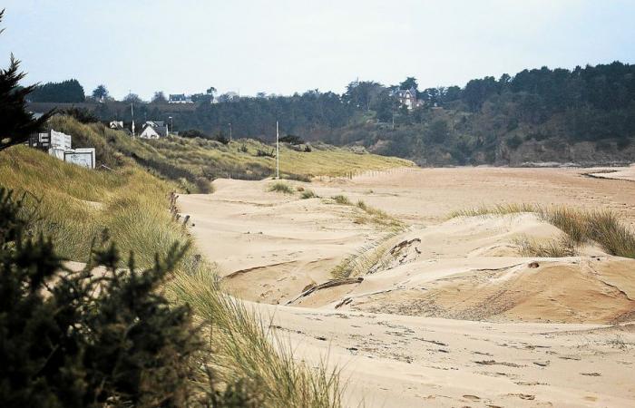 Con il passaggio di Darragh, le dune delle Sabbie d’Oro si spostarono [En images]