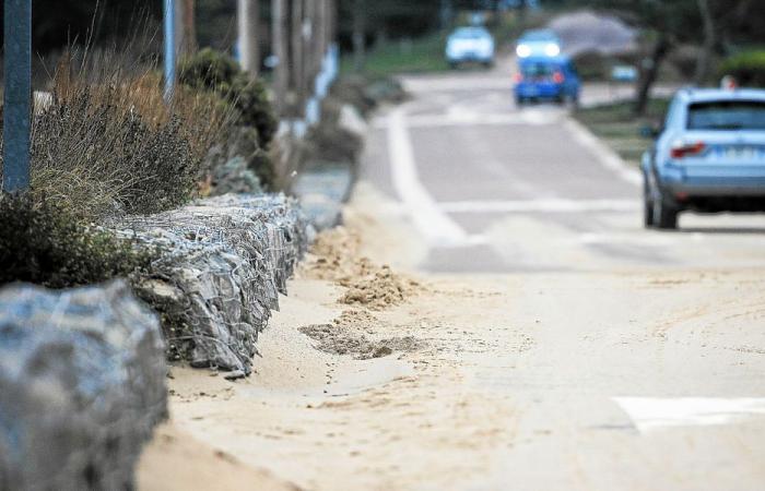 Con il passaggio di Darragh, le dune delle Sabbie d’Oro si spostarono [En images]