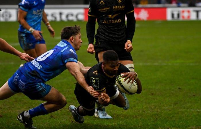 Challenge Cup – Il Montpellier schiaccia gli Ospreys e prosegue