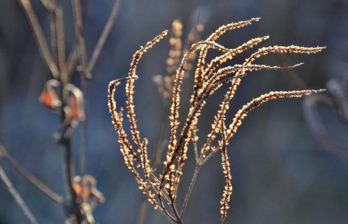 Sta diventando di nuovo più soleggiato e più caldo