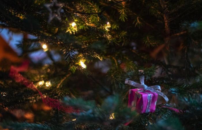 quali titoli brilleranno sotto l'albero quest'anno?