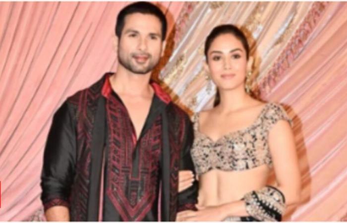 Mira Rajput è una grande FAN di questo artista e no, non è suo marito Shahid Kapoor! | Notizie sui film hindi