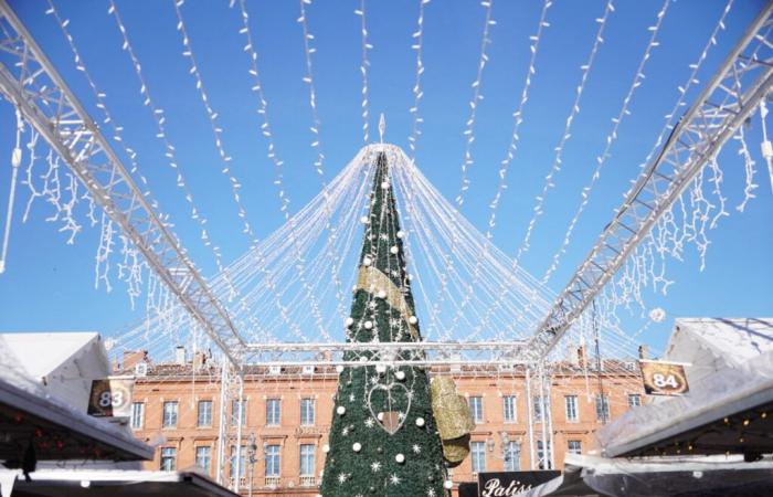 Fiera agricola, Halle des Machines, mercatini di Natale…Cosa fare a Tolosa questo fine settimana?