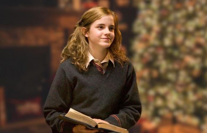 6 idee regalo per i fan di Harry Potter