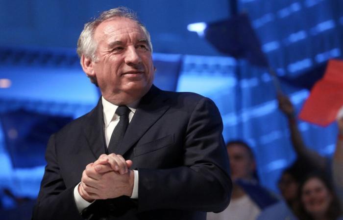 François Bayrou: allevatore di cavalli, appartamento parigino… l'eredità elefantiaca del Primo Ministro