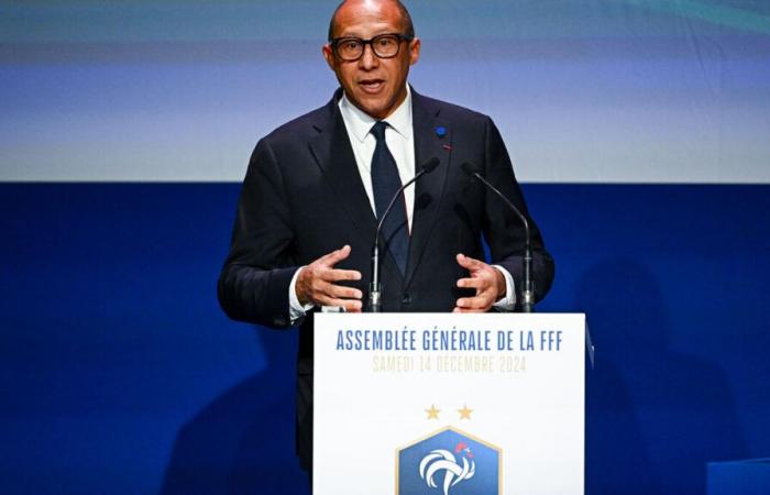 Futuro di Deschamps, Stade de France, calcio professionistico: i progetti di Philippe Diallo, rieletto presidente della FFF