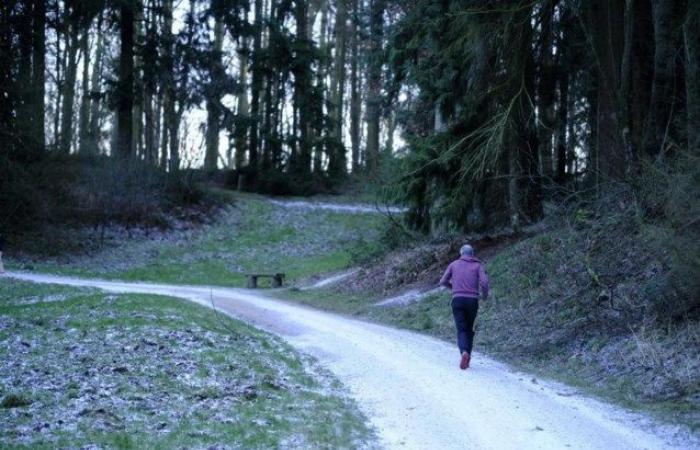 TEMPO ATMOSFERICO. Fine settimana molto nuvoloso, l’RMI avverte di strade scivolose nelle province di Liegi e Lussemburgo